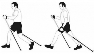 Wind Side Nordic Walking